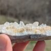 Twin Creeks Quartz